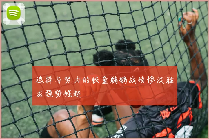 选择与努力的较量鹈鹕战绩惨淡猛龙强势崛起