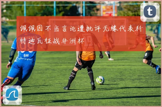 佩佩因不当言论遭批评无缘代表科特迪瓦征战非洲杯